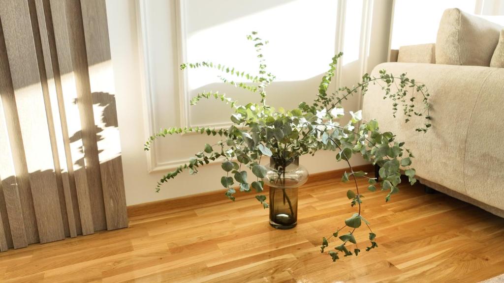 New&Luxurious, Central&Comfortable - 4