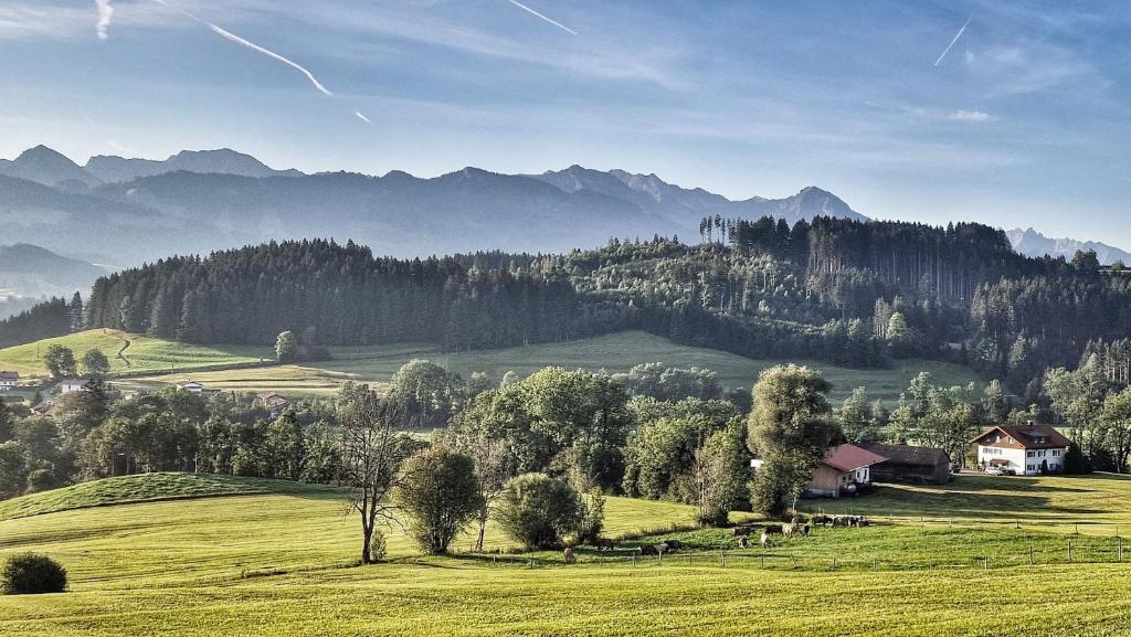 Alpe 44 - 2