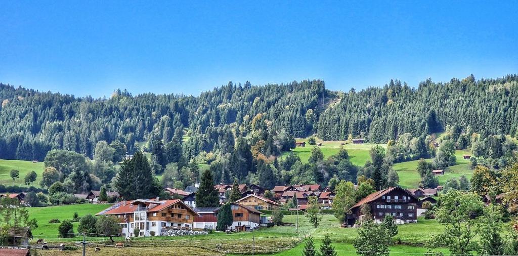 Alpe 44 - 3