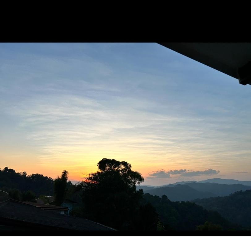 Surrounding environment