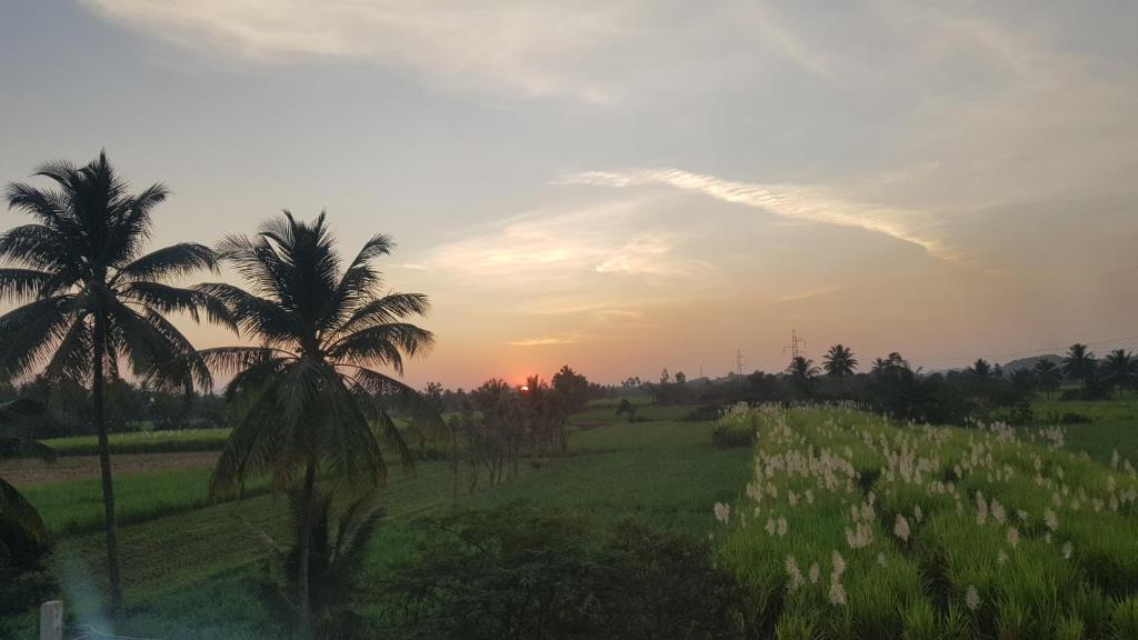 Padmaa Villa의 친환경적인 모습