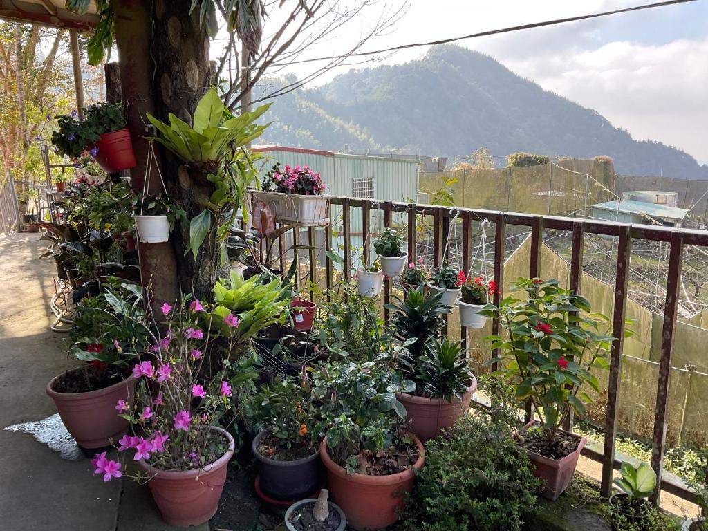 星光山悅景觀民宿