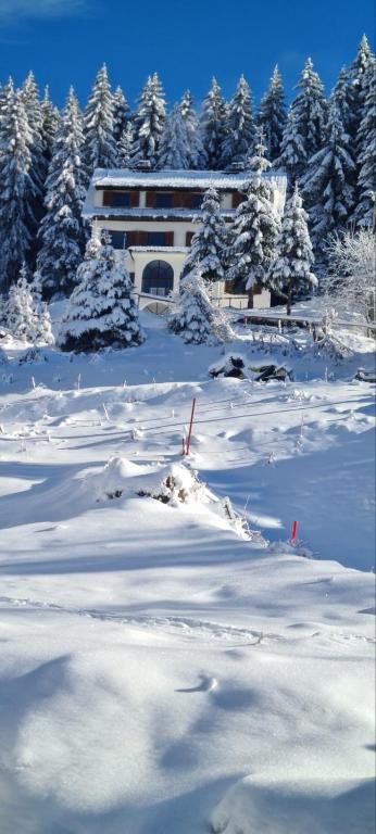 Villa Kostic Kopaonik - 2