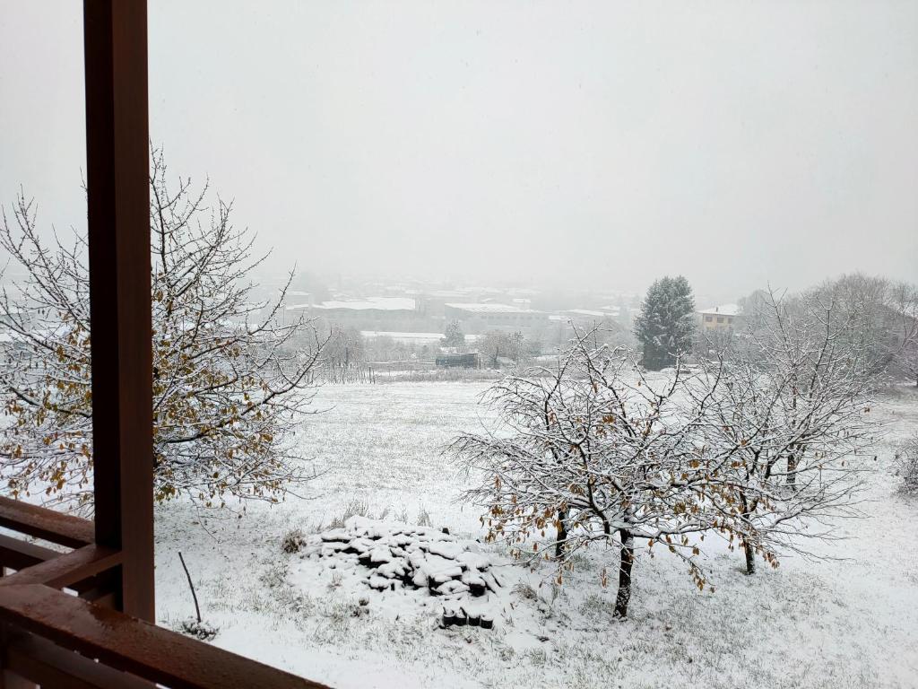 BEBERHOF - 5