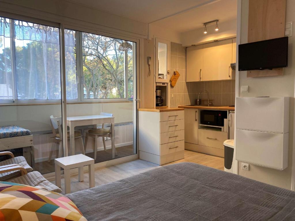 Studio Confort en Face des Thermes - Loggia, Clim, Parking - Balaruc-les-Bains - FR-1-553-243 - 2