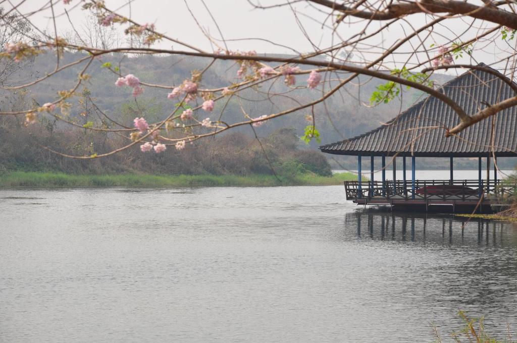 Surrounding environment