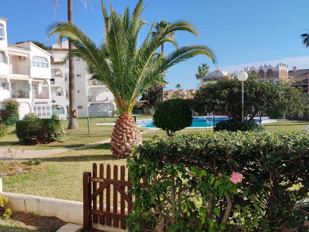 Coqueto apartamento en CalaHonda - 5