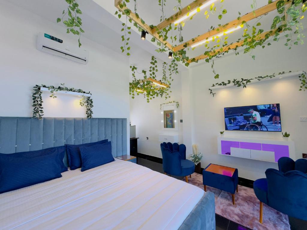 アクティビティ