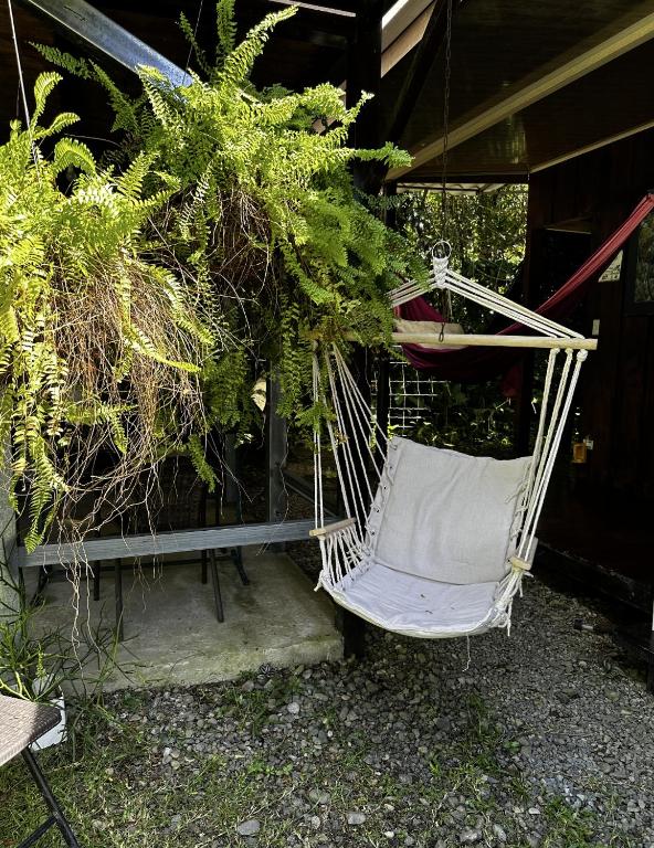 Casa Morpho Uvita Guesthouse