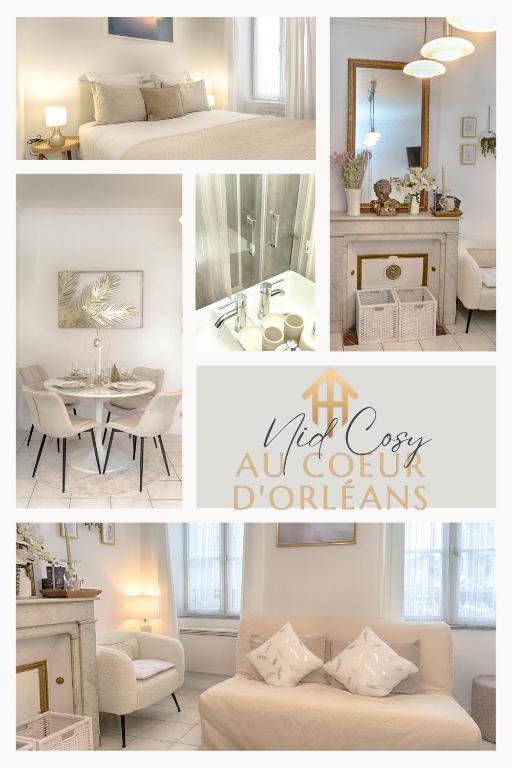 Le Nid Cosy -Au Cœur d'Orléans - 1