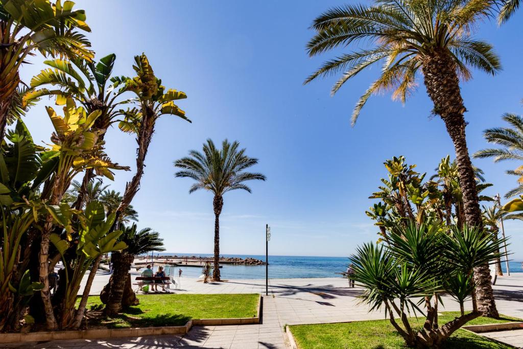 Apartamento RAMON - 4