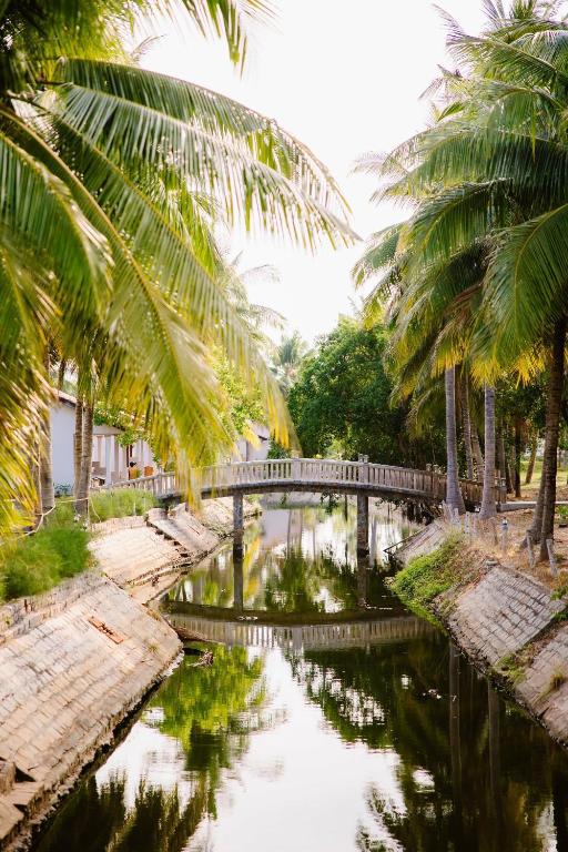 Surrounding environment