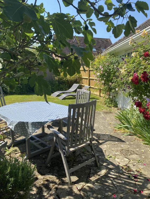 Mulberry Studio, Hawkhurst photo 5