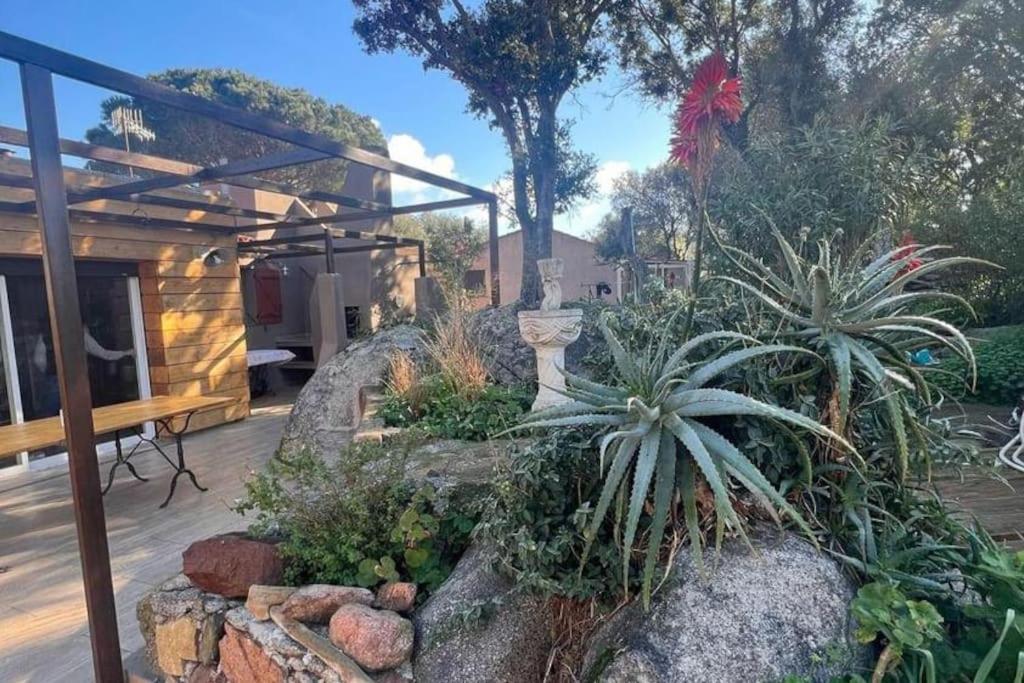 Villa A Liccia piscine 4pers proche Ville et Port - 1