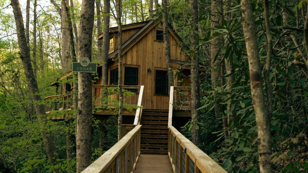 The Cedar in Treehouse Grove at Norton Creek, Gatlinburg