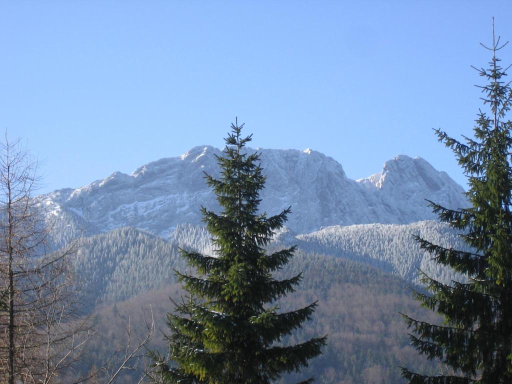 Ozwa SKY photo
