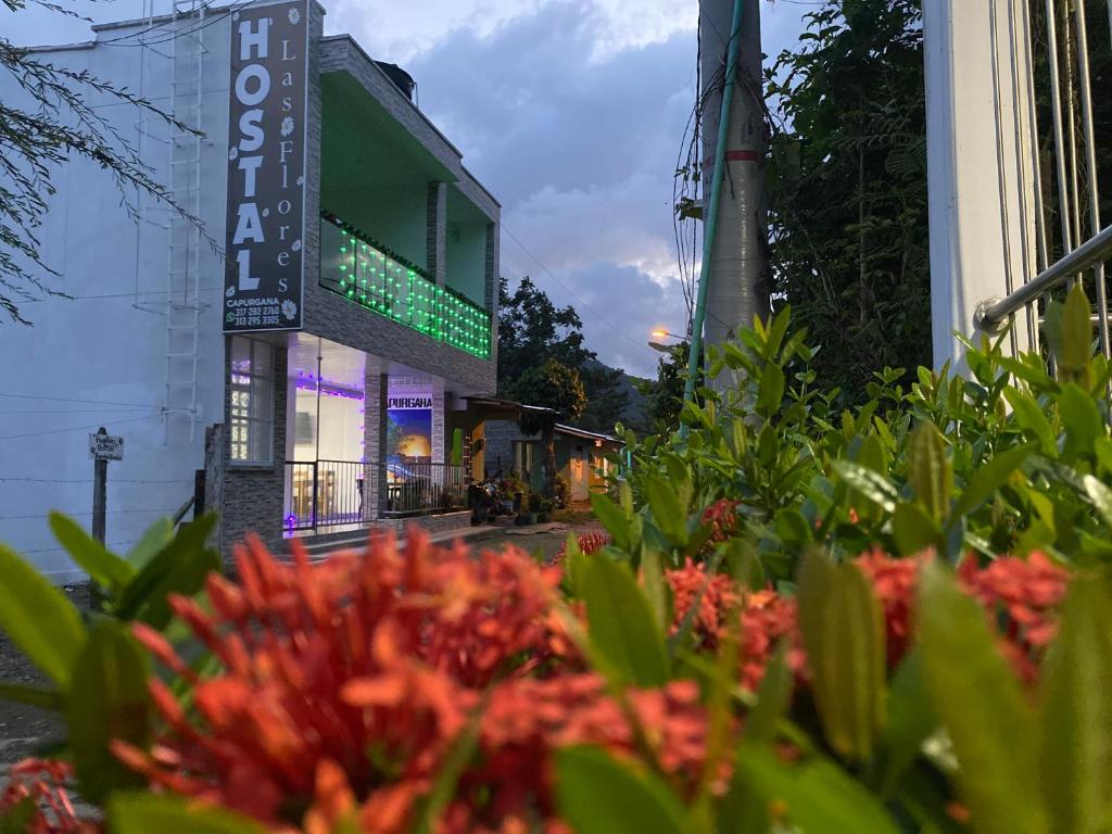 HOSTAL LAS FLORES, Capurganá