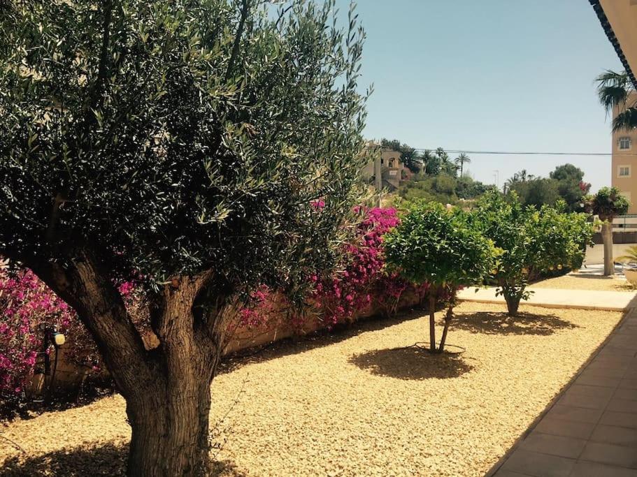 Villa Número Uno - 5