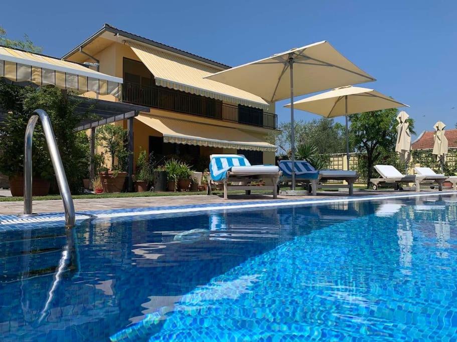 Andrej home, Golubovci