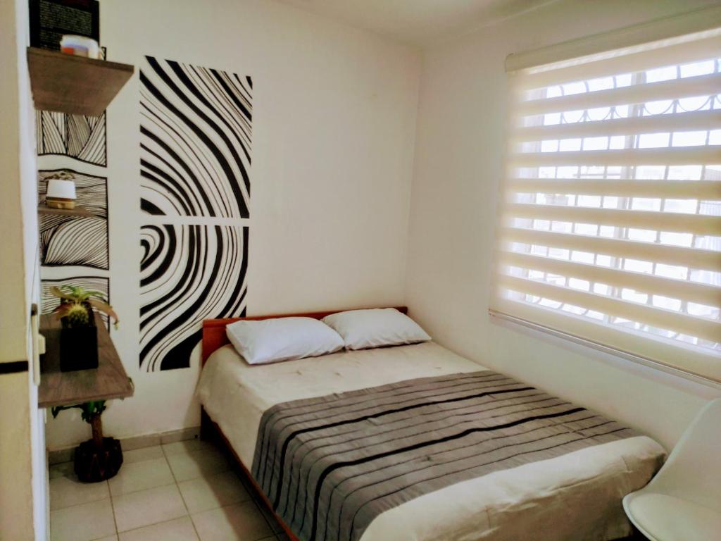 Magnífica habitación rodeada de arte en Centro Histórico - 1