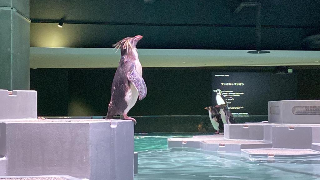 삿포로 뷰 호텔 오도리 파크 호텔 상세 정보