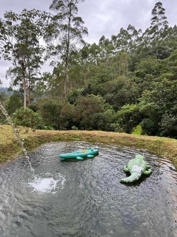 Glamping Villa del Bosque - 5