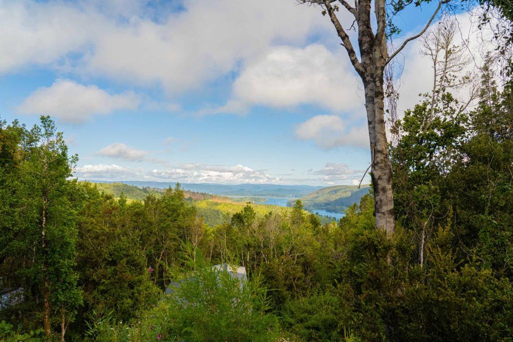 Lophosoria Eco Lodge - 3