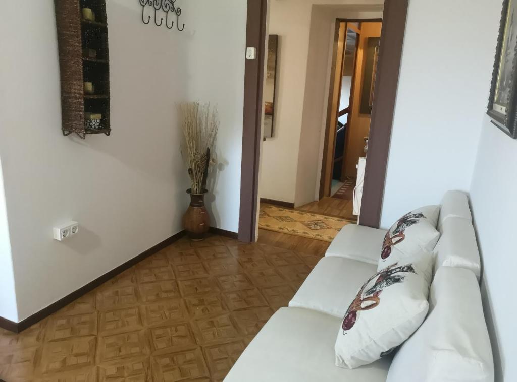 Casal de Perros - 2