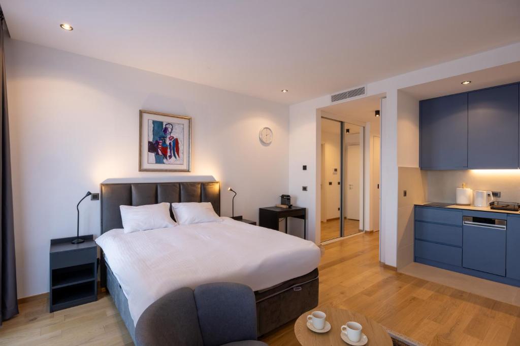 Belgrade Center Apartment Lux 1 - 1