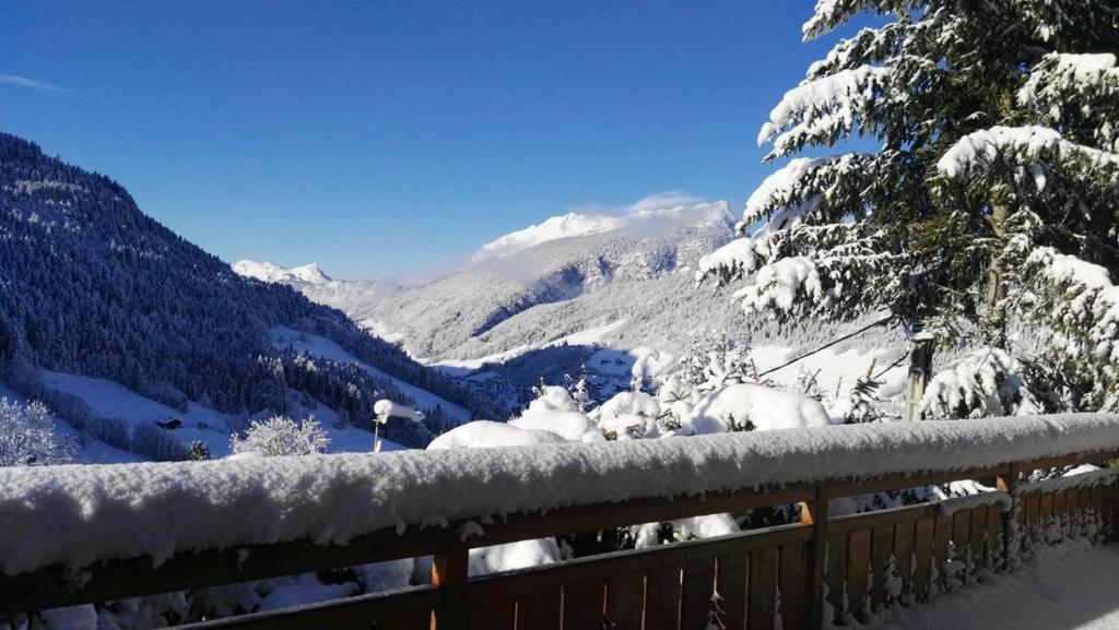 Chalet Le Sapin - 2