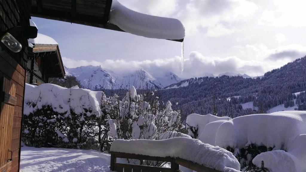 Chalet Le Sapin - 3