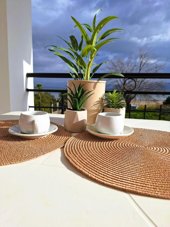 Ever Green beach Apartments — Kavos, Ionian Islands
