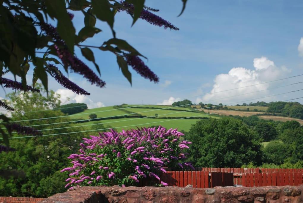 Collaton Mews Barn Conversion, Paignton photo 8