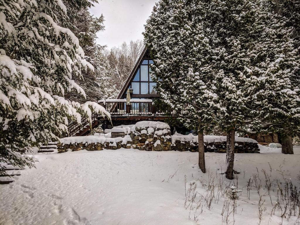 Chalet Skunks, La Conception