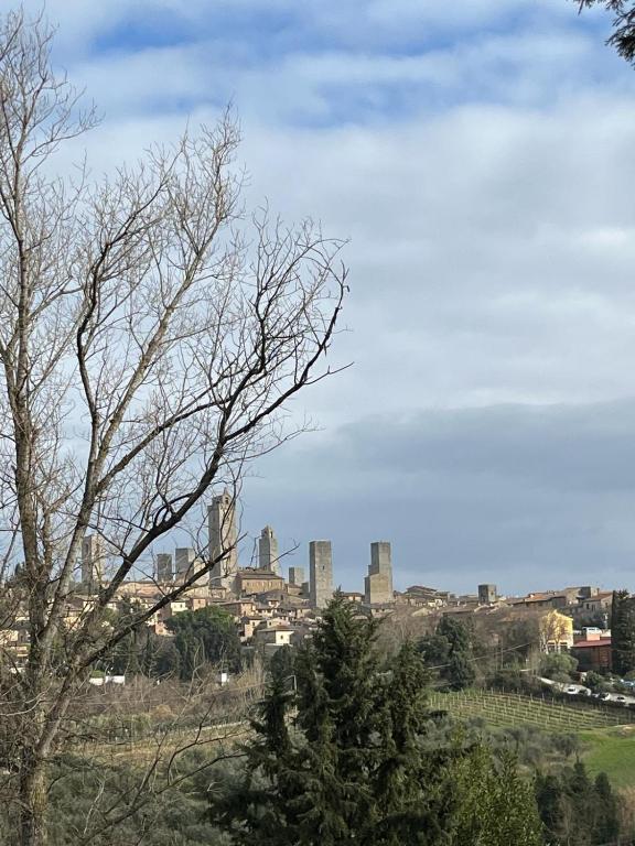 La Casina di Cinzia - 3