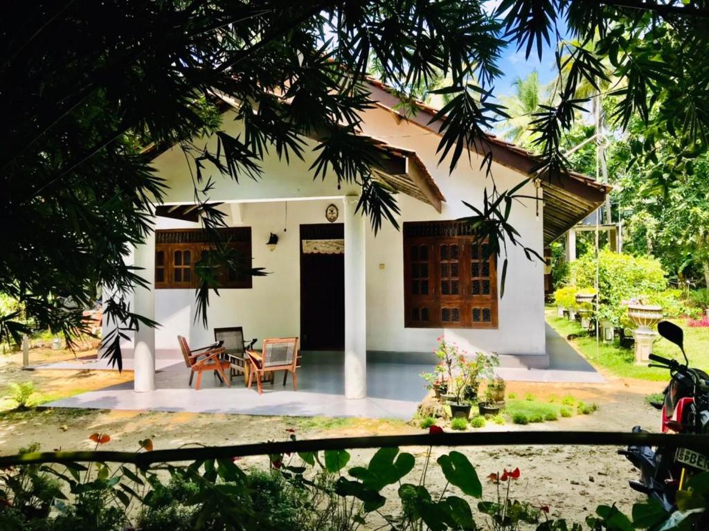 Lucky mongrooves, Midigama East