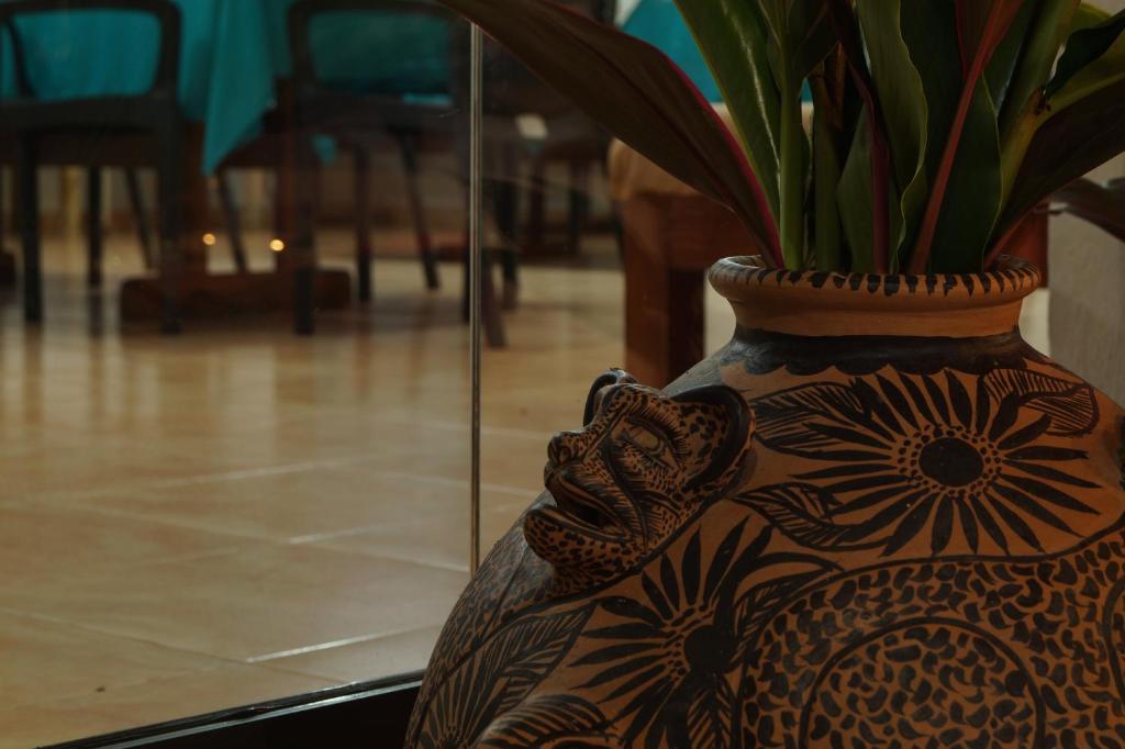 Hotel La Aldea del Halach Huinic photo