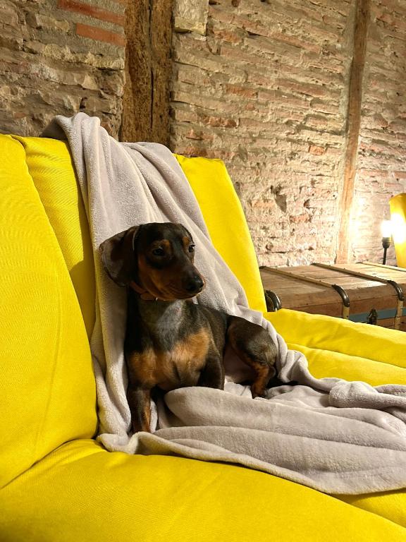 Tu Casa en Logroño II, Logroño