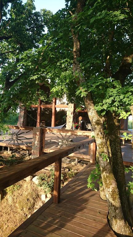 Ąžuolas, Kaspariškė