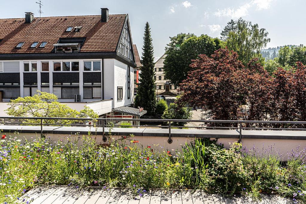 Allgäu-Idyll - 5