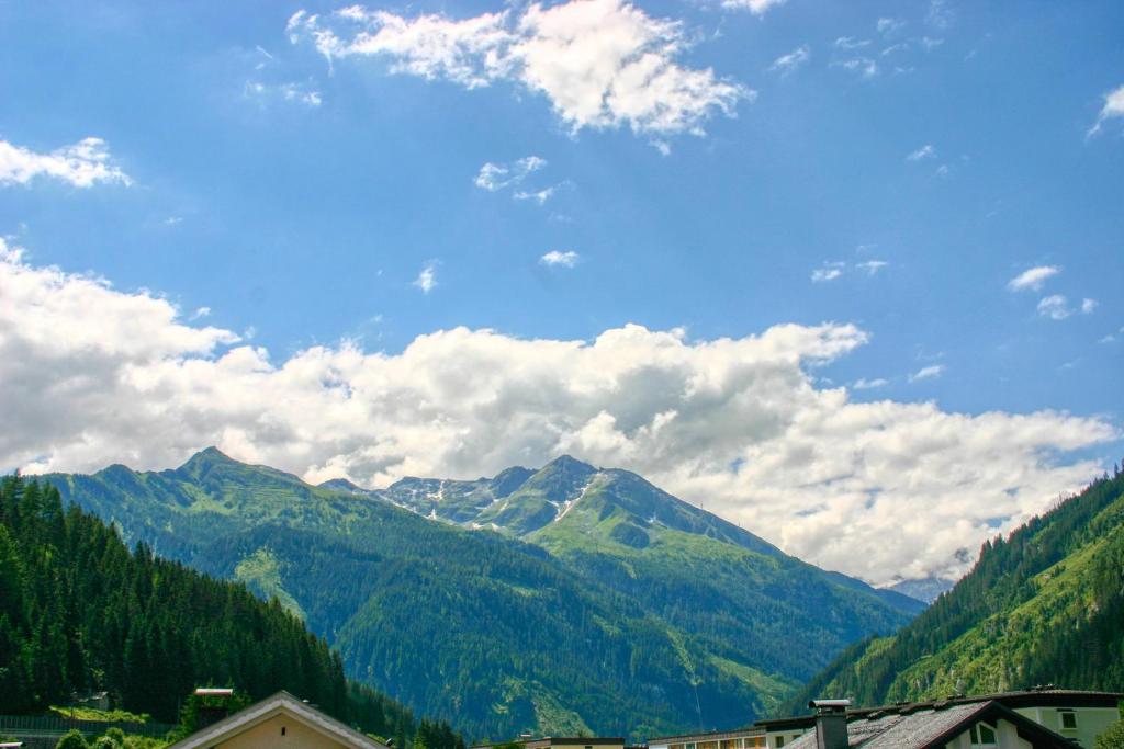 Apartment Birke 1 - by Alpen Apartments - 3