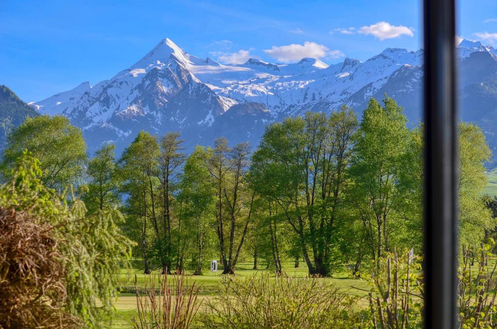 المنطقة المحيطة