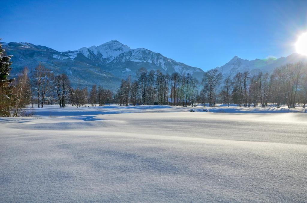المنطقة المحيطة