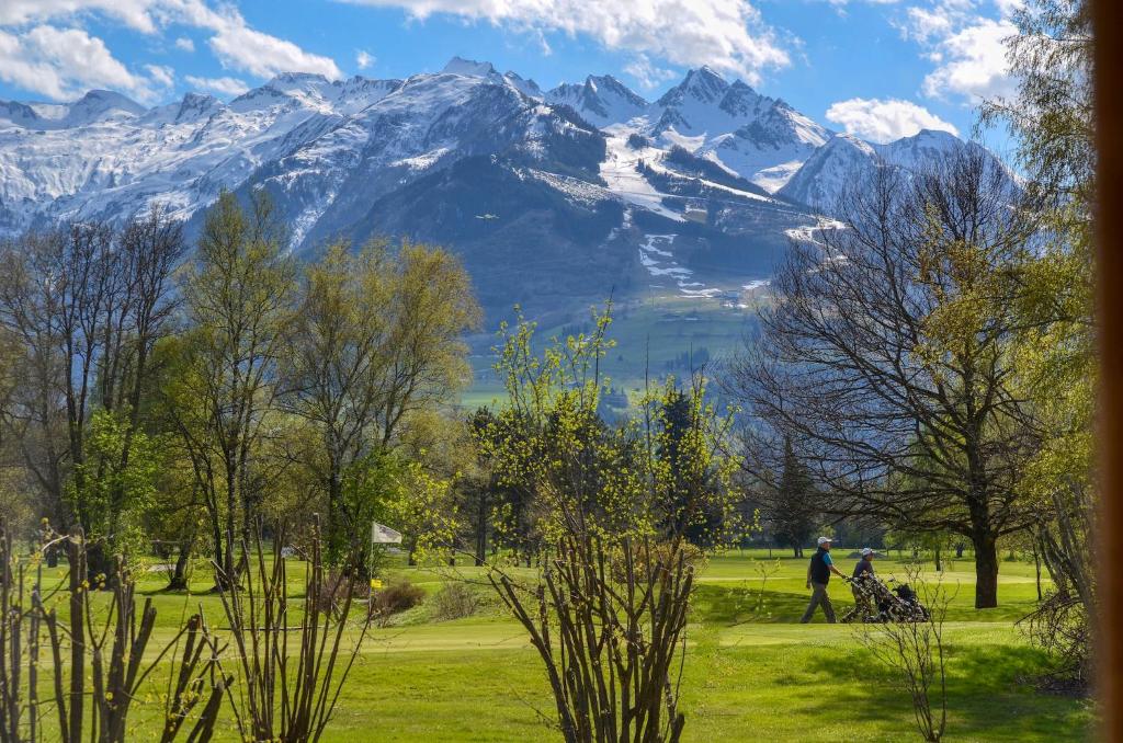 المنطقة المحيطة