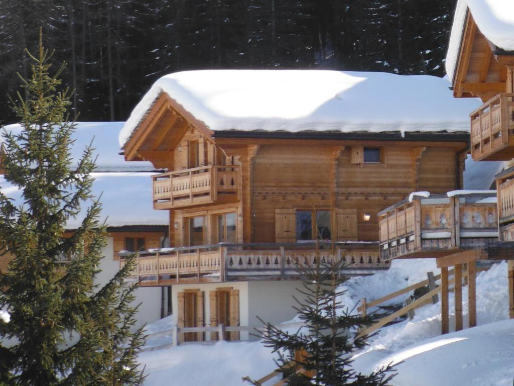 Chalet Petit Sapin - 4