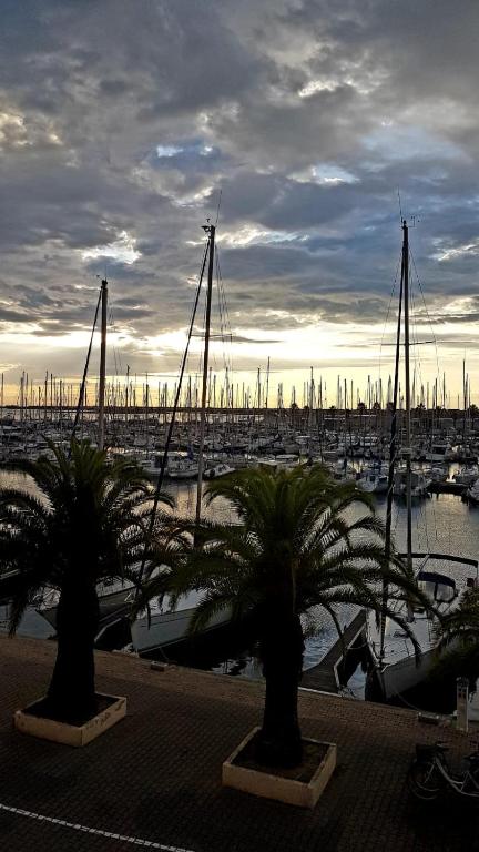 T2 sur le port avec parking - 5