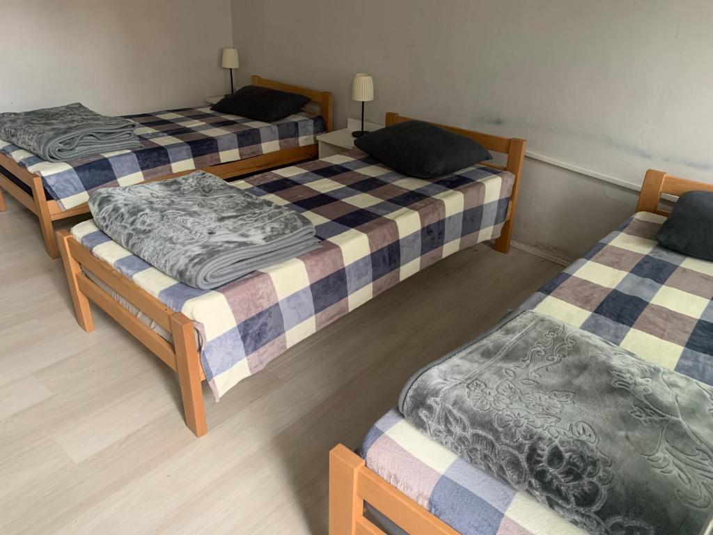 Downtown Belgrade Mixed Beds - 2