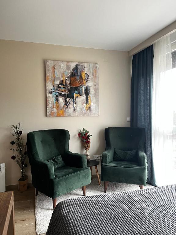 Apartman Ambijent Divcibare - 4