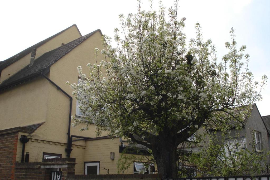 Compton Guest House photo