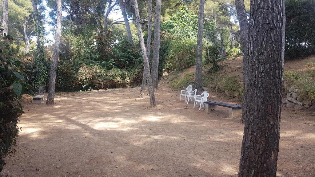 APPARTEMENT T3 - au calme - climatisé - plages à pied - 3